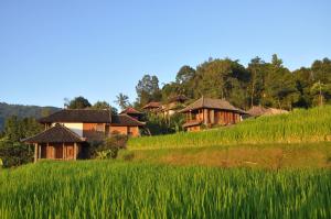 姆杜克Puri Lumbung Cottages Restaurant & Spa Munduk的稻田中间的一个村庄