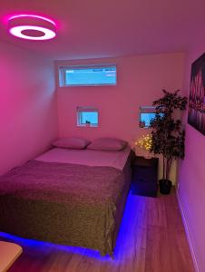凯夫拉维克Smart Luxury - Gaming Arena, Gym, Sauna and Jacuzzi的一间卧室配有一张紫色灯床