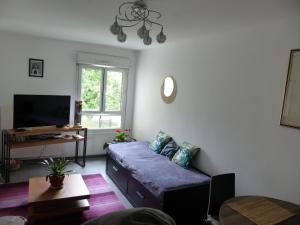 马孔Appartement cosy 4 personnes的带沙发和电视的客厅