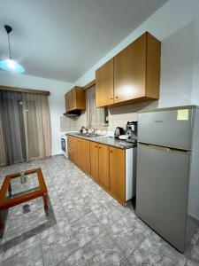 AntimácheiaElli's apartments的厨房配有木制橱柜和白色冰箱。