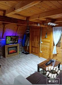 RačićWinter Vikendica Mimiena的木屋内带壁炉的客厅