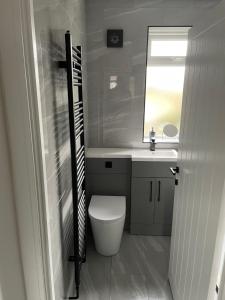 卢顿VA Home Stay的一间带卫生间、水槽和镜子的浴室