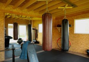 AnnenAnnense Pracht的一间健身房,天花板上挂着两个拳击袋
