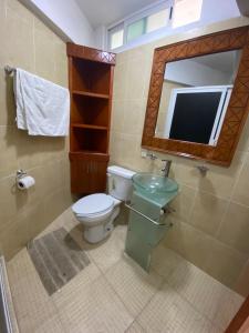 塔斯科·德·阿拉尔孔Casa Vista hermosa de taxco的一间带卫生间、水槽和镜子的浴室