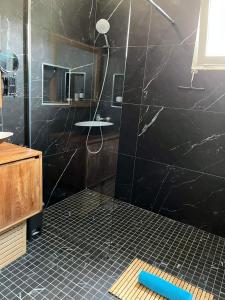 拉萨尔勒班Le Pavillon du trou d'eau的一间设有黑色墙壁淋浴的浴室