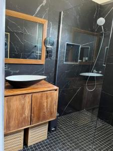 拉萨尔勒班Le Pavillon du trou d'eau的一间带水槽和玻璃淋浴的浴室