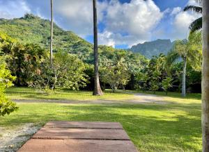 莫雷阿Turia's Beach Villa的一片种有棕榈树的草地和一条小路
