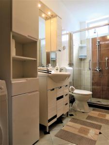 扎达尔House Franica的一间带水槽、卫生间和淋浴的浴室
