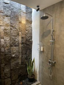 班图尔DJipangan Home的浴室里装有植物的淋浴间