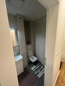 别拉什尼察Apartman 34的一间带卫生间和水槽的小浴室