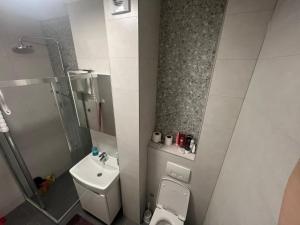 别拉什尼察Apartman 34的一间带卫生间和水槽的小浴室