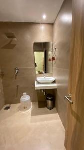 门格洛尔Hotel Plaza Heights的一间带水槽、镜子和卫生间的浴室
