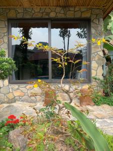 宁平Trang An Peaceful Homestay的窗前种着黄色花的花园