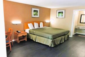 塔拉哈西OYO Hotel Tallahassee Downtown的酒店客房设有一张大床和一张桌子。