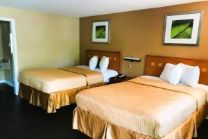 塔拉哈西OYO Hotel Tallahassee Downtown的一间酒店客房,房间内设有两张床
