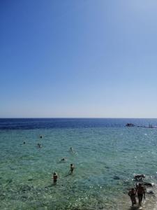 沙姆沙伊赫Queen Sharm Italian Club的一群人在海滩的水中