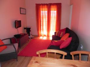 安德伯格J&B Lodge的带沙发和红色地毯的客厅