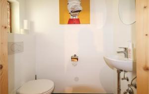 米特西尔Beautiful Home In Mittersill With Wifi的一间带卫生间和水槽的浴室