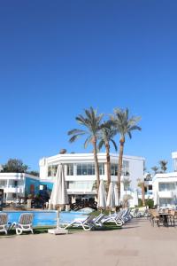 沙姆沙伊赫Queen Sharm Italian Club的一组椅子和遮阳伞,位于游泳池旁