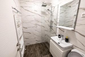 札勒乌New Home Studio的一间带水槽、卫生间和镜子的浴室