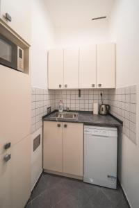 布拉格Josefov Riverside Apartment的厨房配有白色橱柜和水槽