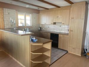 锡格里斯维尔Wohnung的厨房配有木制橱柜和台面