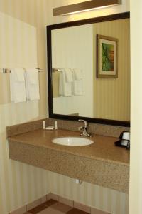 费尔蒙特Fairfield Inn & Suites by Marriott Fairmont的一间带水槽和大镜子的浴室