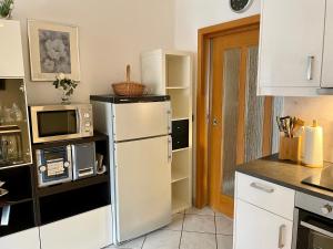 特赖斯-卡尔登Ferienwohnung Hilger的厨房配有冰箱和微波炉。