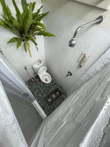 TimuranGorga hostel的一间带卫生间和盆栽的浴室