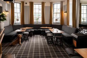 LongtownGraham Arms Inn的狗坐在餐厅里,有桌椅