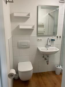 爱尔福特Altstadt Apartment Augustiner的白色的浴室设有卫生间和水槽。