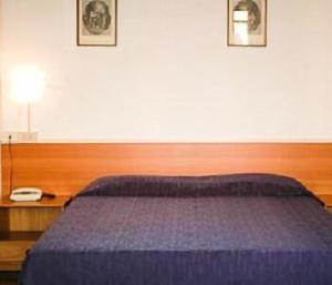 拉帕洛Hotel Fernanda的一间卧室配有一张床和一张带电话的书桌