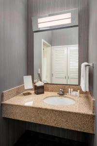 纽瓦克万怡纽瓦克自由国际机场酒店的一间带水槽和镜子的浴室