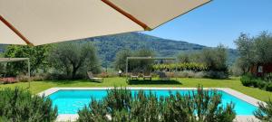 佩拉戈La Fornella dell'Anita的一座位于庭院内的游泳池,山底下