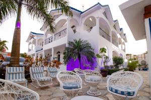 博卡奇卡Hotel Villa Capri的度假村设有白色椅子和棕榈树
