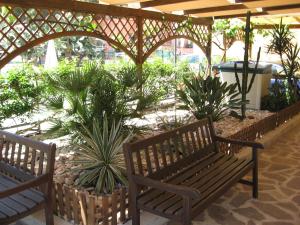 康培斯上将公寓式酒店的花园里的两把木凳子,种有植物
