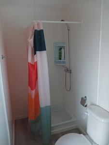 圣特雷莎德罗Container home的浴室设有淋浴帘,位于厕所旁