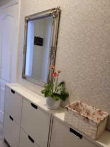 叶尔加瓦City apartament的浴室设有镜子和梳妆台上的植物
