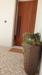阿尔坎塔里利亚Villa Algarve的坐在门前的大锅里的植物