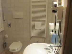 代西奥阿尔伯格加尔迪诺酒店的一间带卫生间和水槽的小浴室