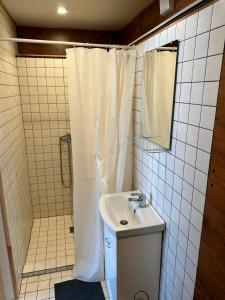 KazitiškisBarn Guest House的浴室设有白色的淋浴帘和水槽
