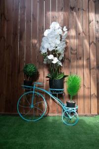 海法BrideHousehaifa的一辆蓝色自行车停在一个栽有盆子的围栏旁边