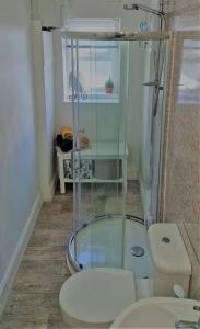 特伦Troon Beachcombers的一间带玻璃淋浴和卫生间的浴室