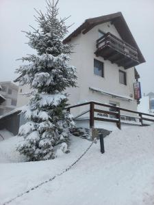 斯特拉扎Cabana Antonia的雪中有一棵圣诞树的房子