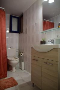 费斯卡尔德宏Affordable vintage apartment near Fiscardo & Assos的一间带水槽和卫生间的浴室