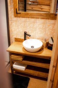 DzērbeneViesu nams SAKNĪTES的木制柜台上带白色水槽的浴室