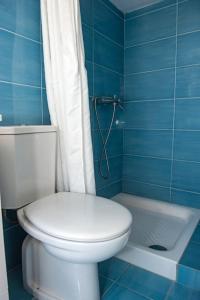 扎金索斯镇Attic flat ''Tsoukalas Group''的蓝色的浴室设有卫生间和淋浴。