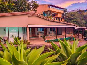 蒙泰韦尔德哥斯达黎加Natüra Hotel Monteverde的植物景象