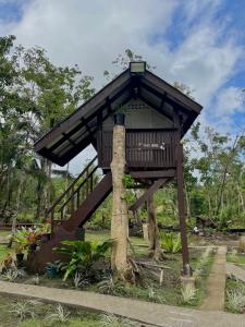 BatuanROCA'S HOMESTAY Backpackers Chalet Bohol的公园中间的树屋