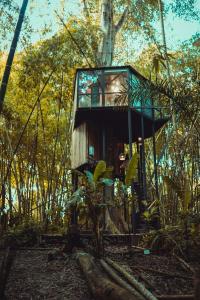 金巴亚Amanatu Ecolodge & Spa的森林中的一个树屋